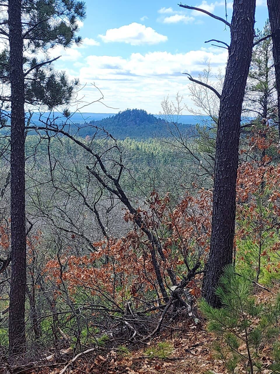 Waterworks Garden Connection