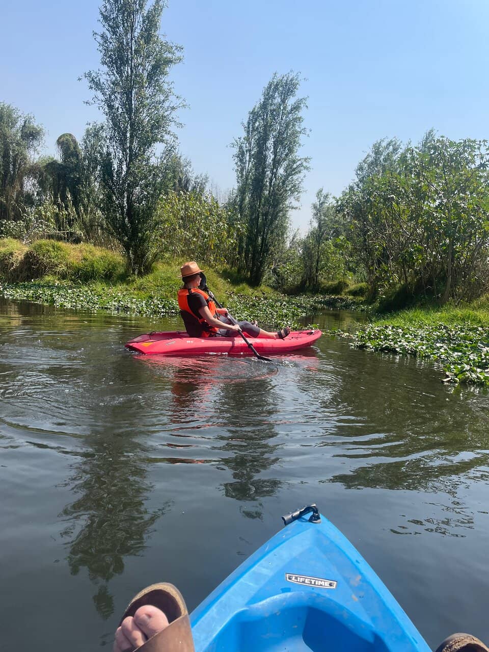 Leisurely Park Stroll