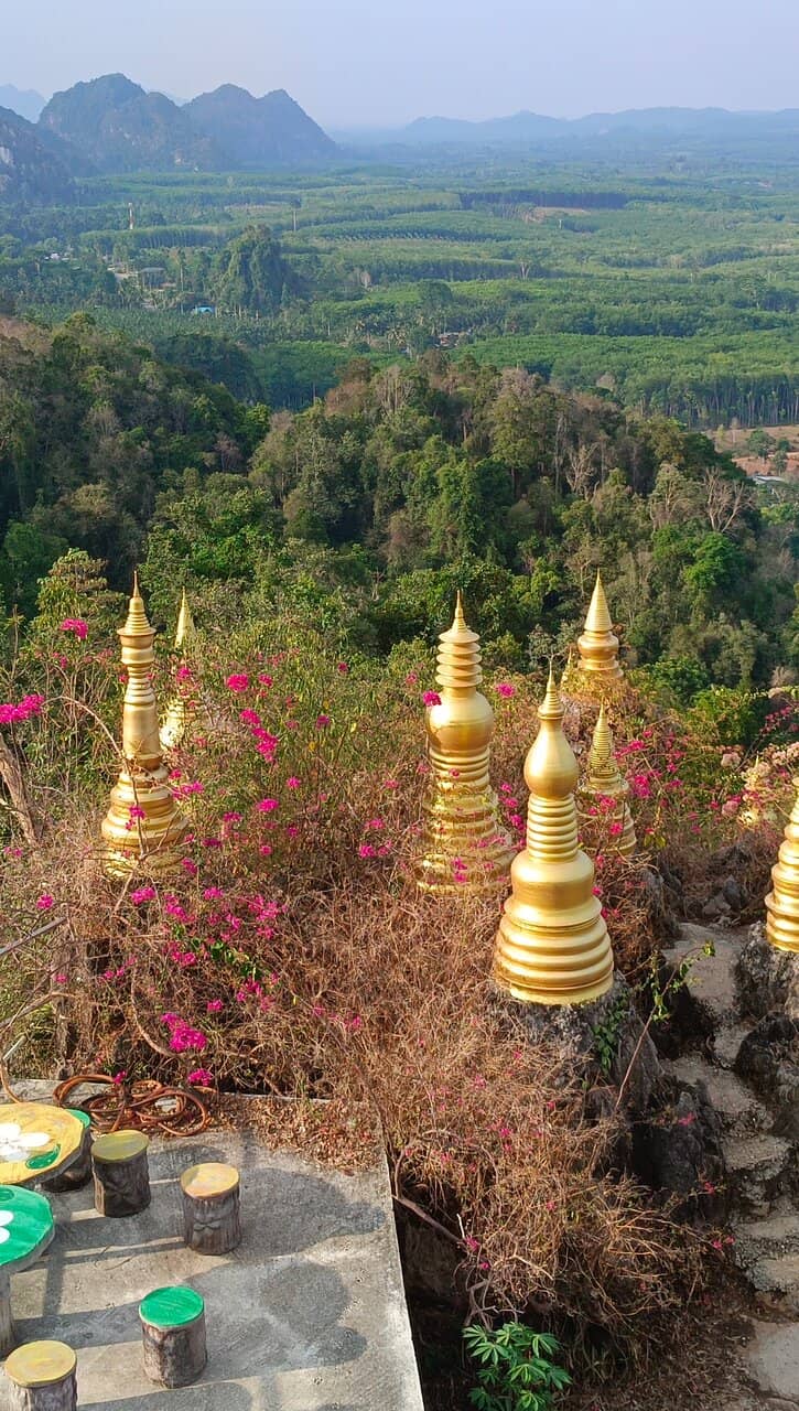 Pagoda Views