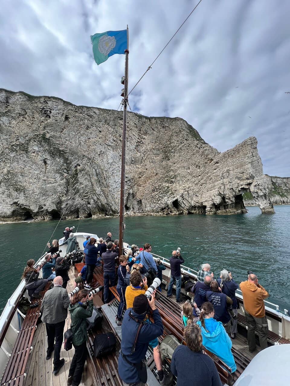 Gannet Spectacle