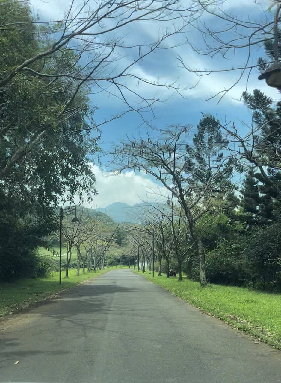 The 'Road to the Clouds'