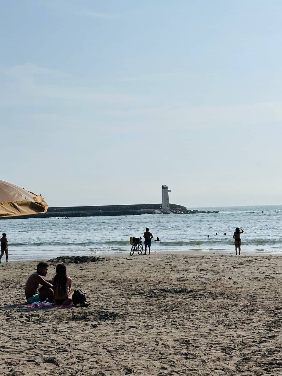 Surfing Lessons & Rentals