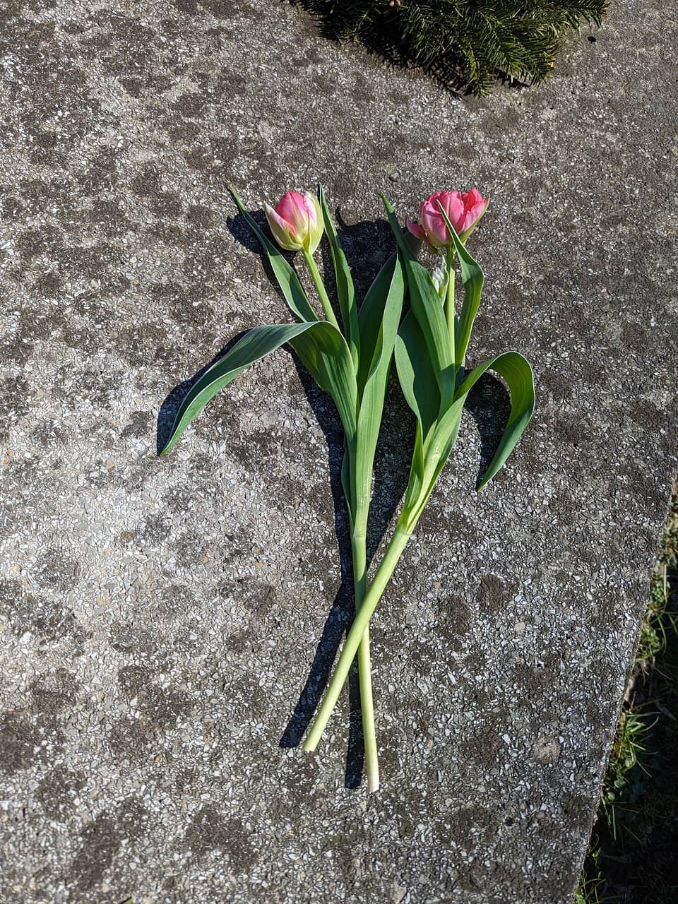 All Saints' Day Candle Spectacle