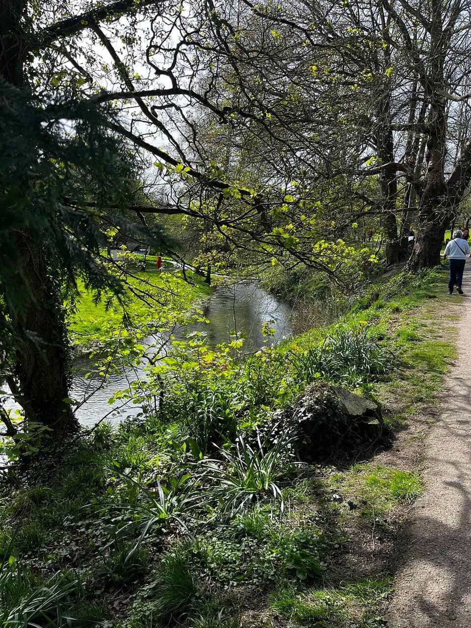Winding Garden Paths