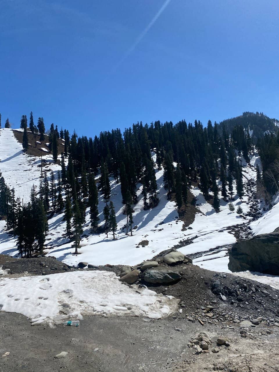 Trekking and Camping Opportunities