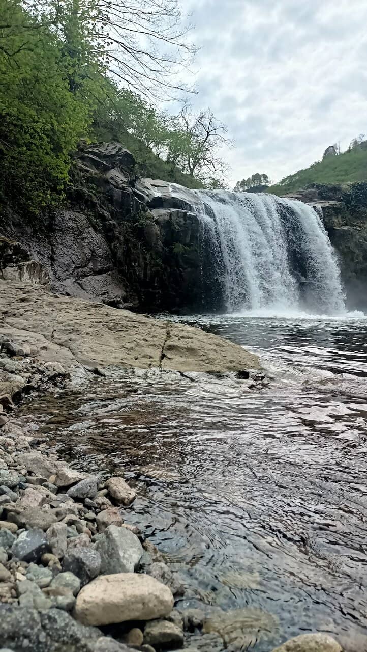 Local Culinary Delights