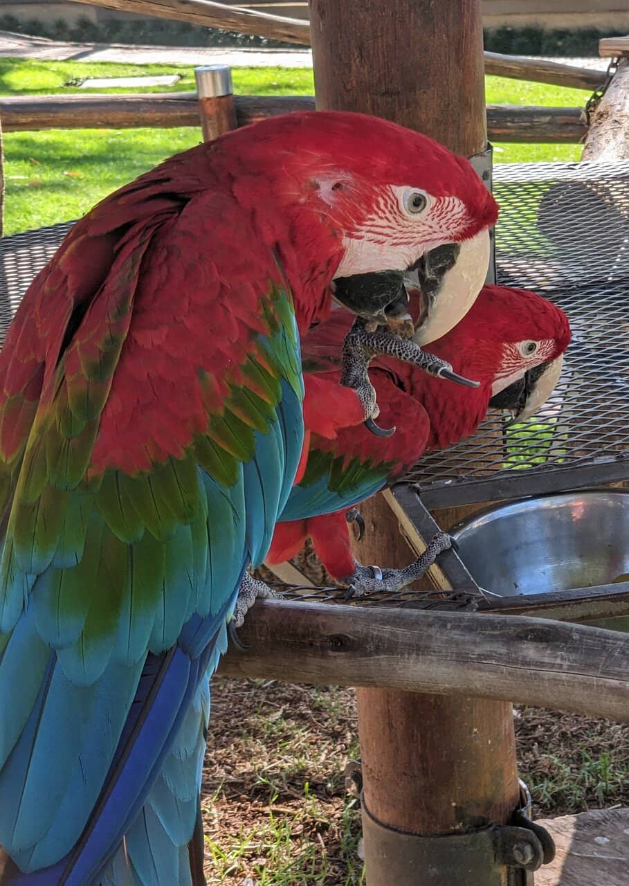 Reptile House Exploration