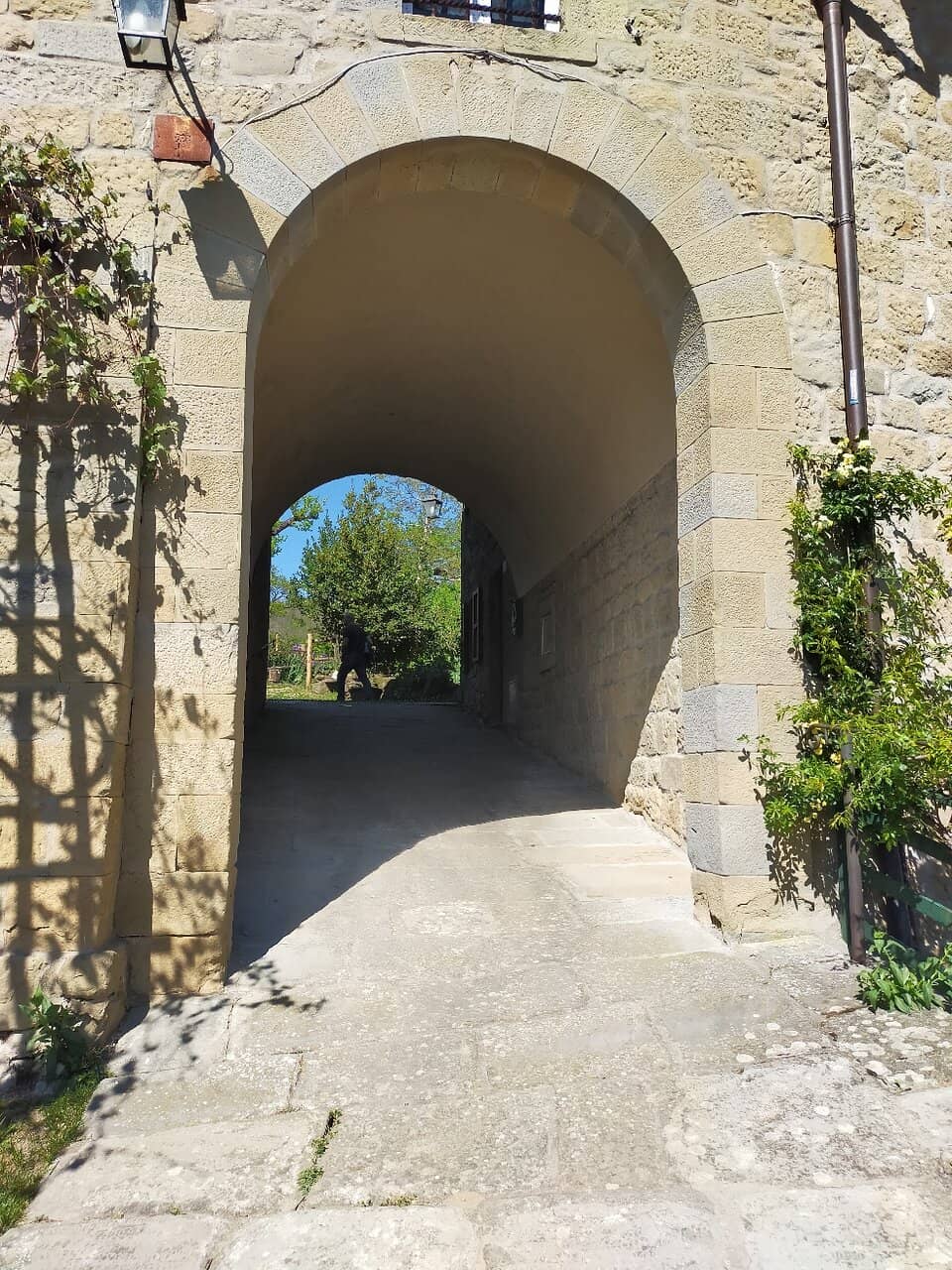 Panoramic Tuscan Views
