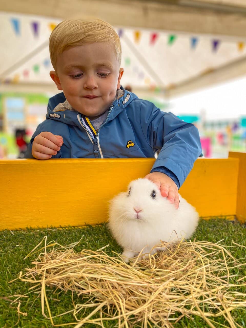 Animal Encounters