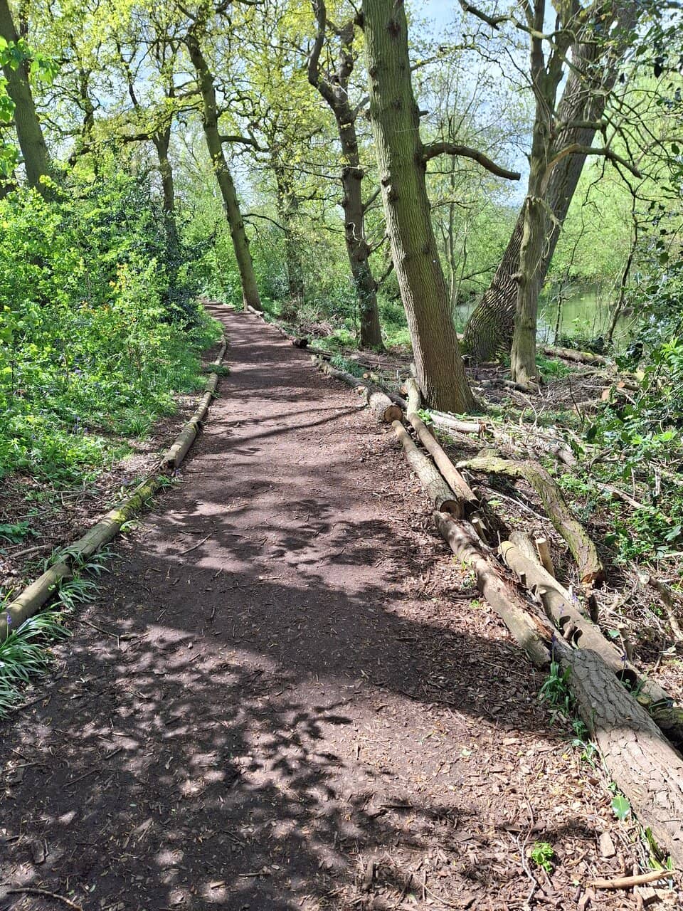Restored Wooden Statues