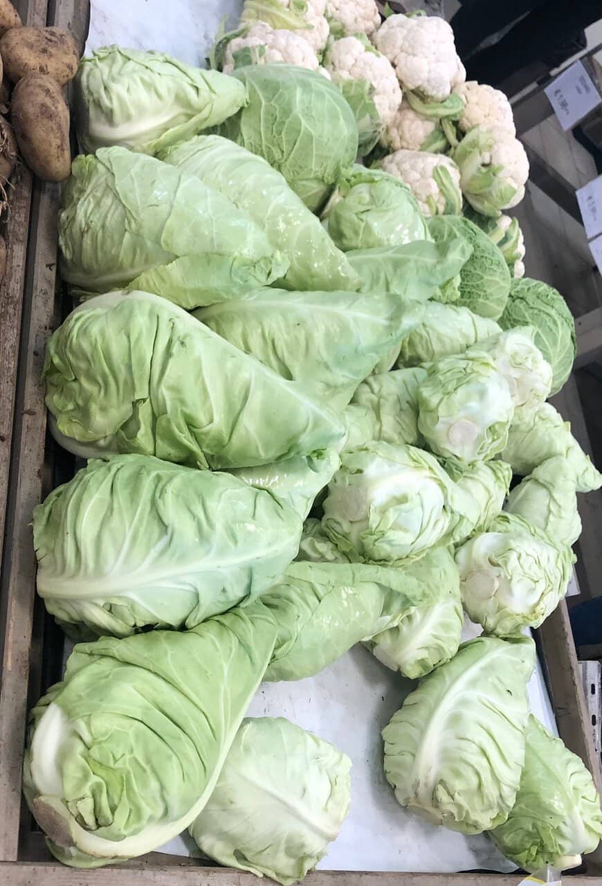 Blooming Plants & Herbs