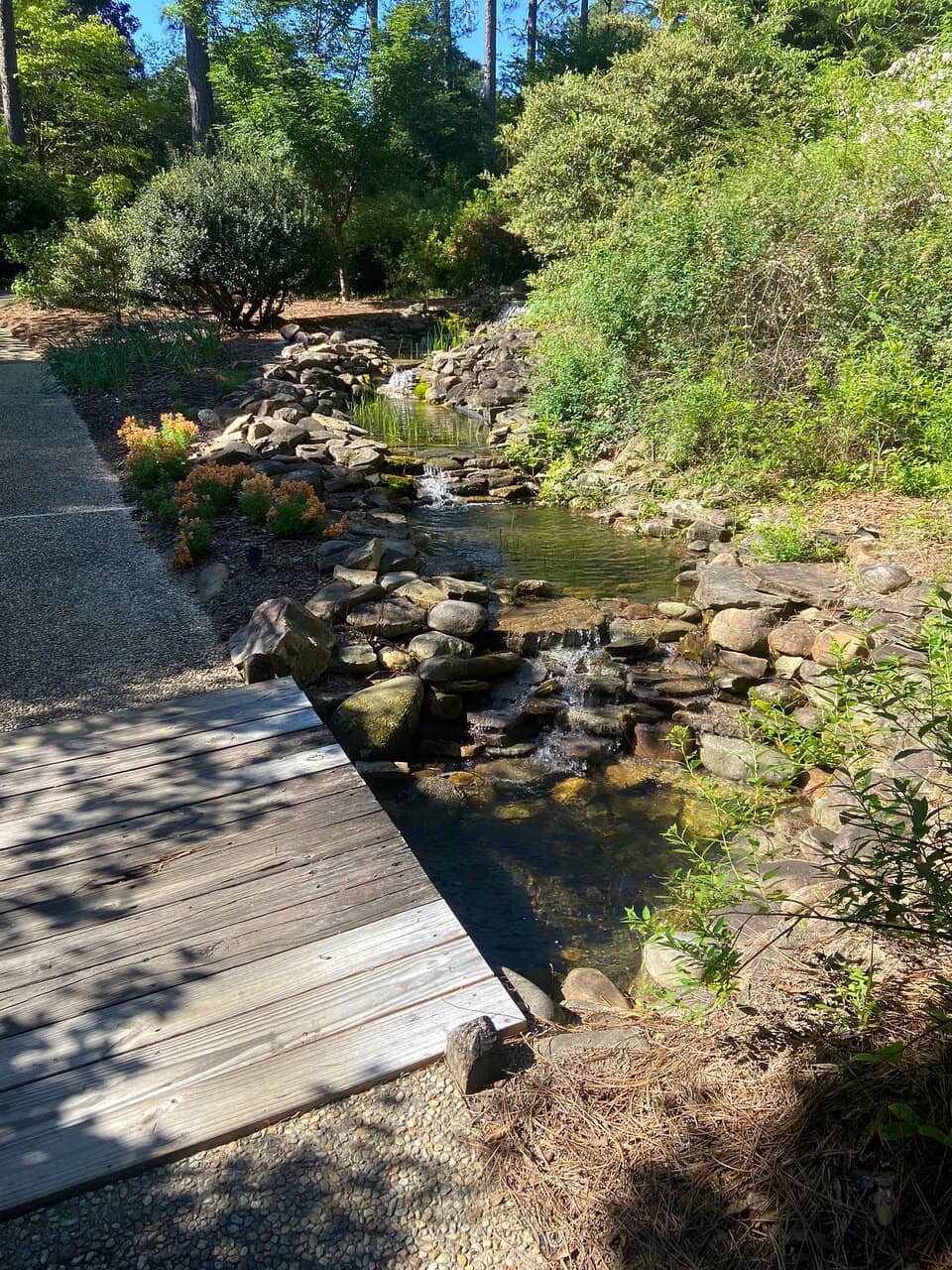 Scarecrow Stroll (Seasonal)