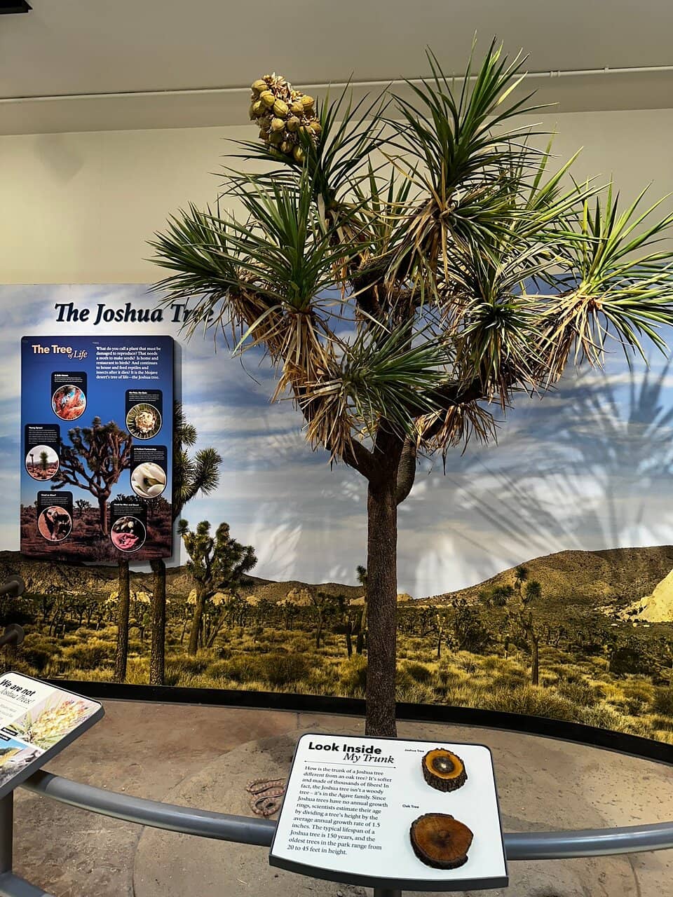 Interpretive Exhibits
