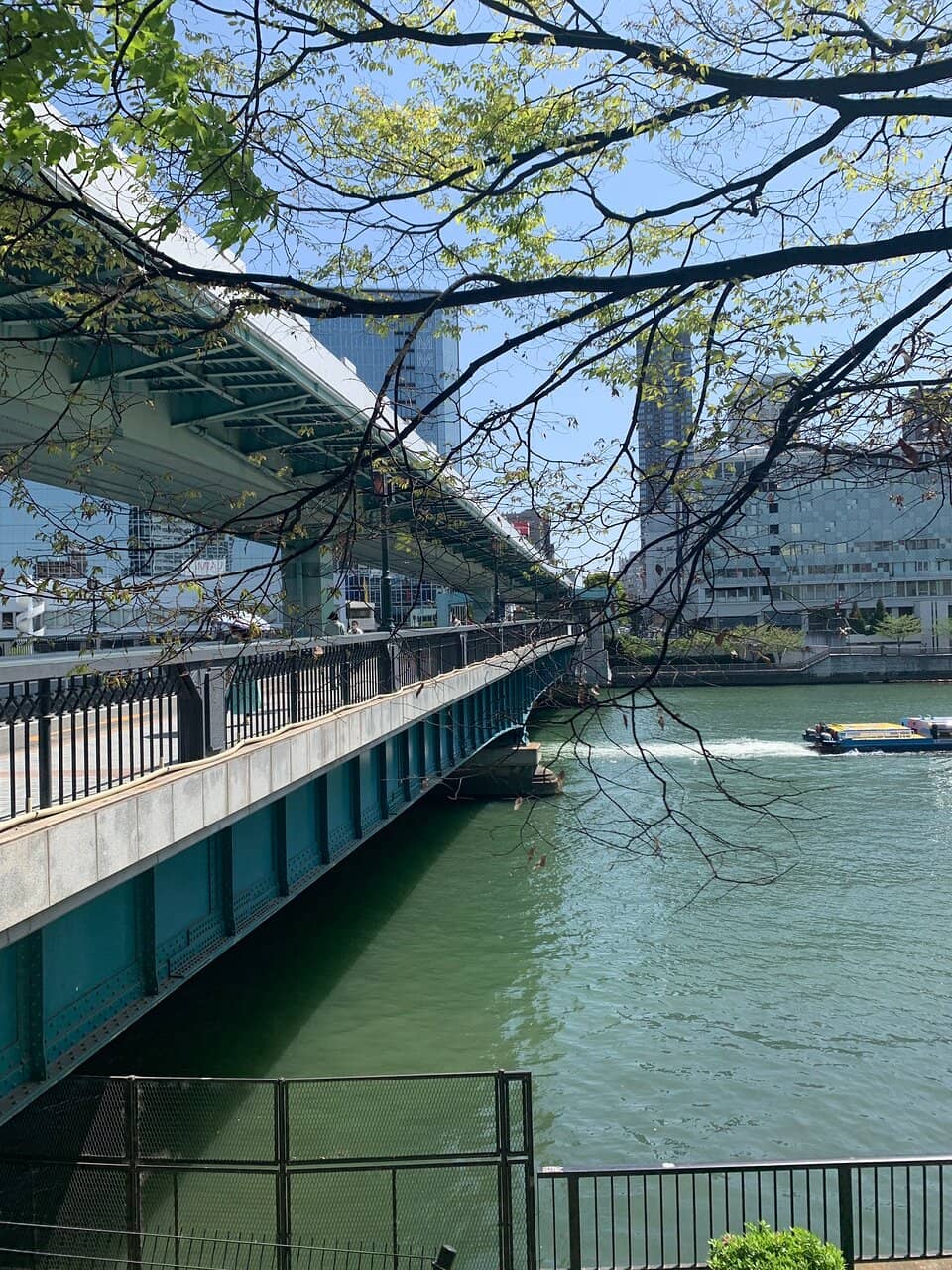 Riverside Stroll