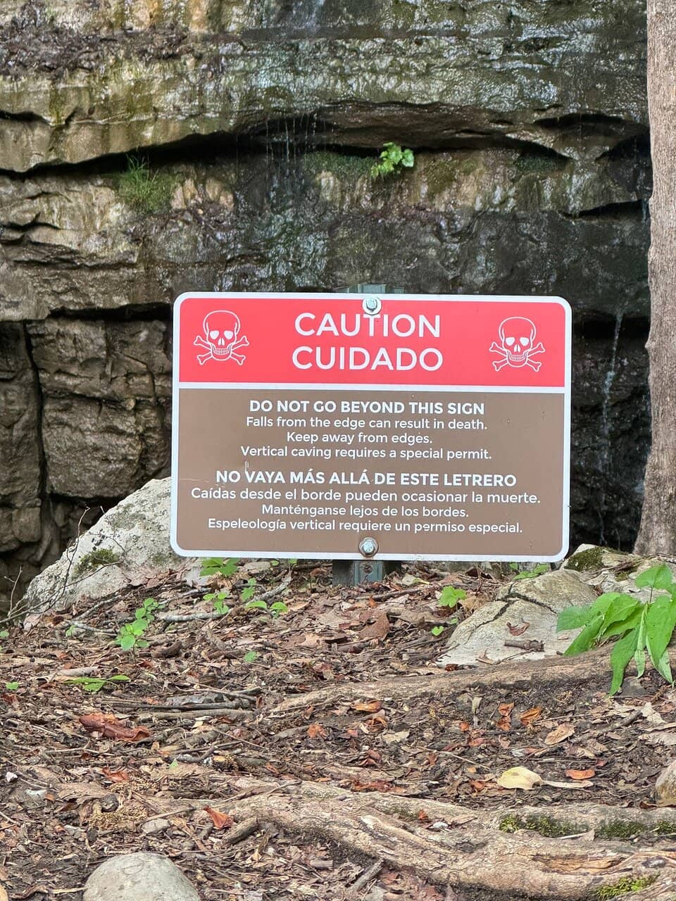 The 'Mushroom' Photo Spot