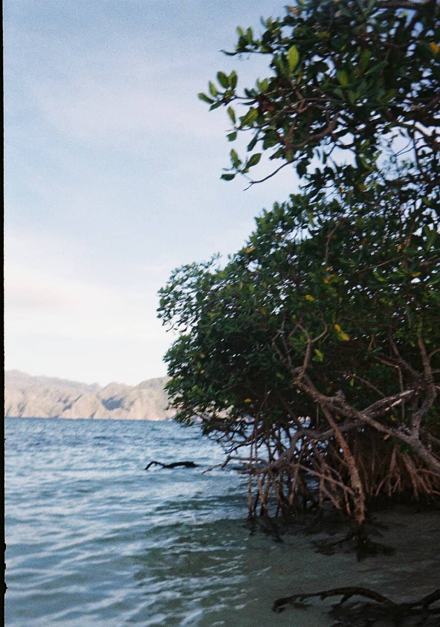 Vibrant Snorkeling Spots