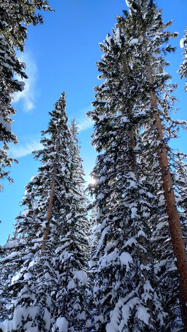 Vertical photo