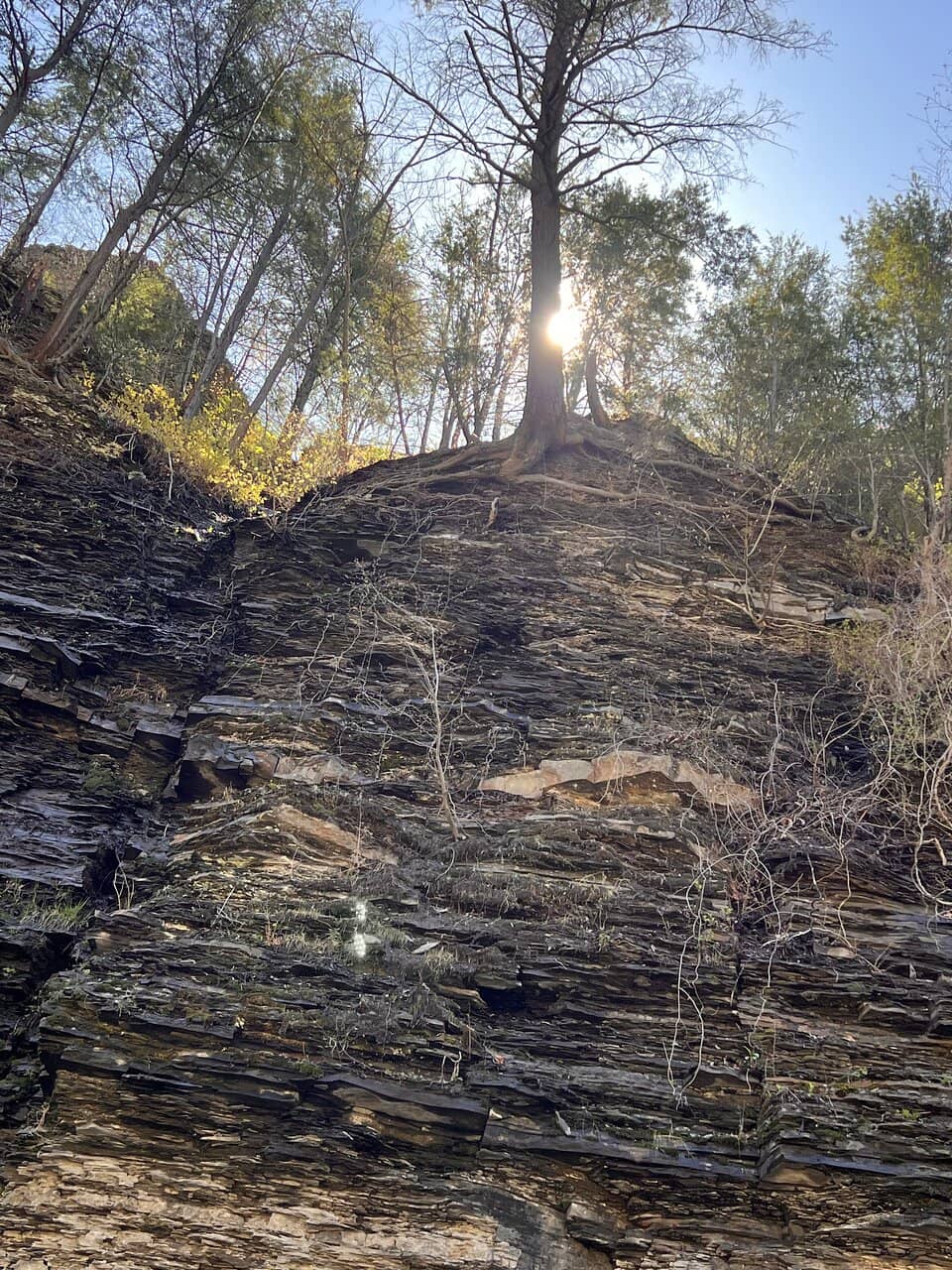 Historic Mill Ruins