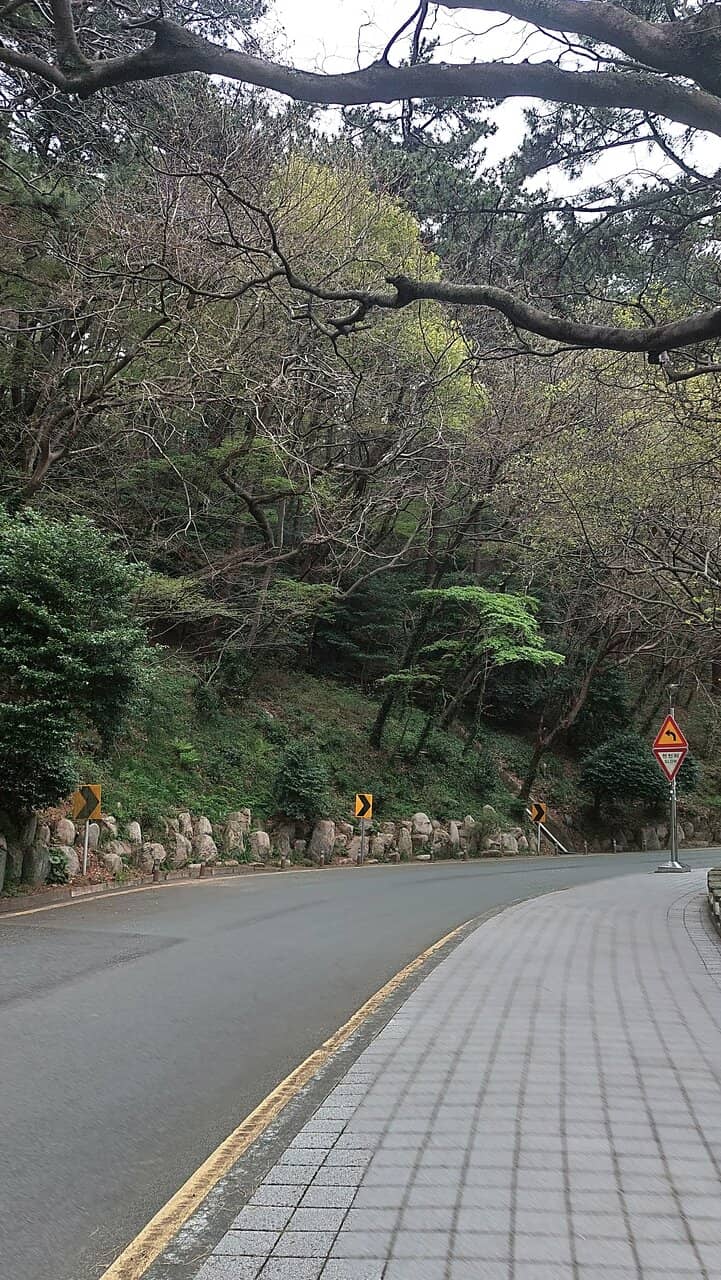 Seafood Stalls by the Beach