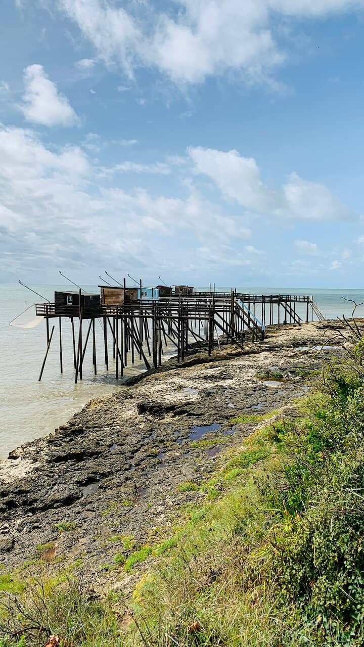 Seudre Estuary Views