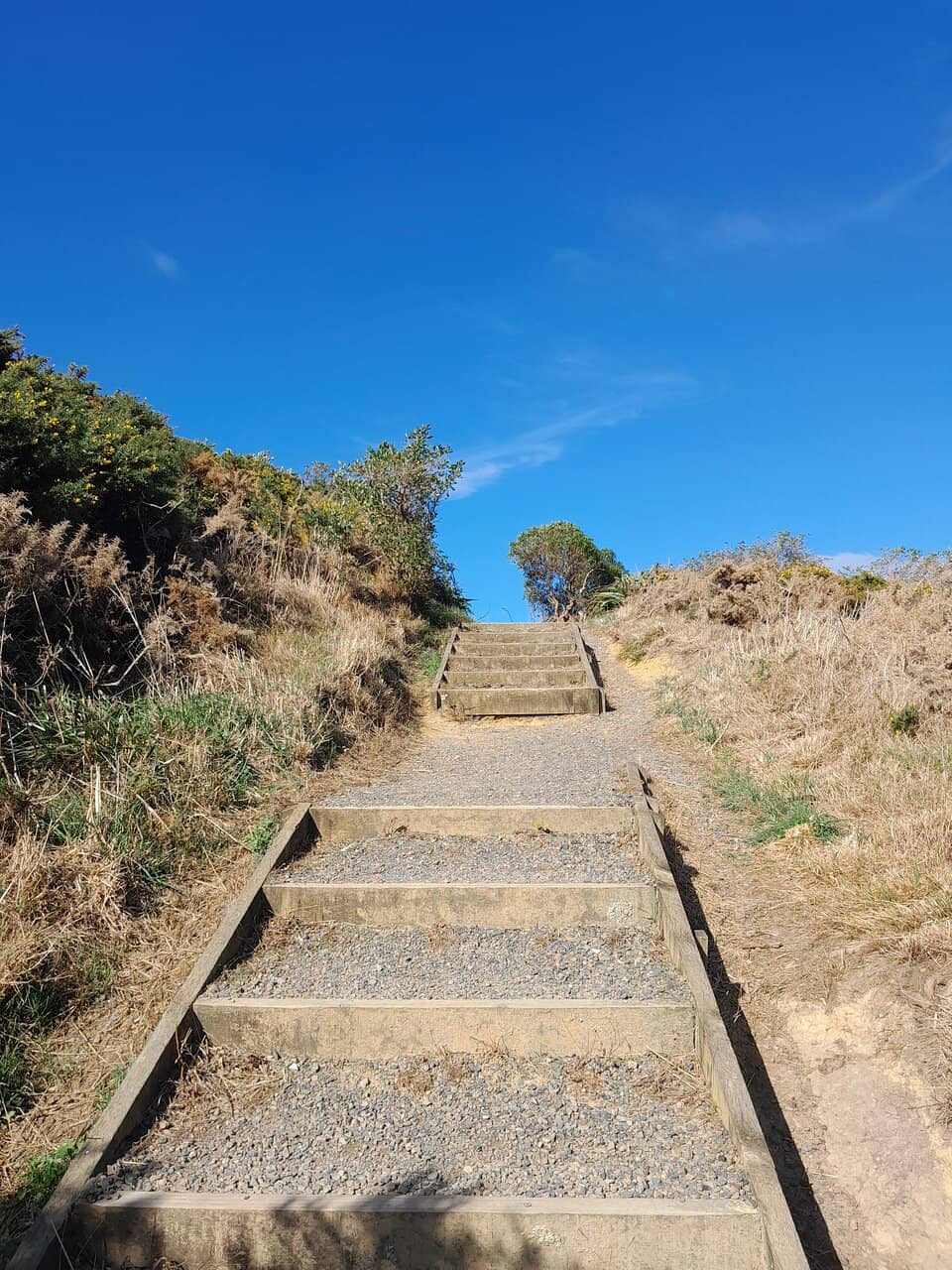 Vertical photo