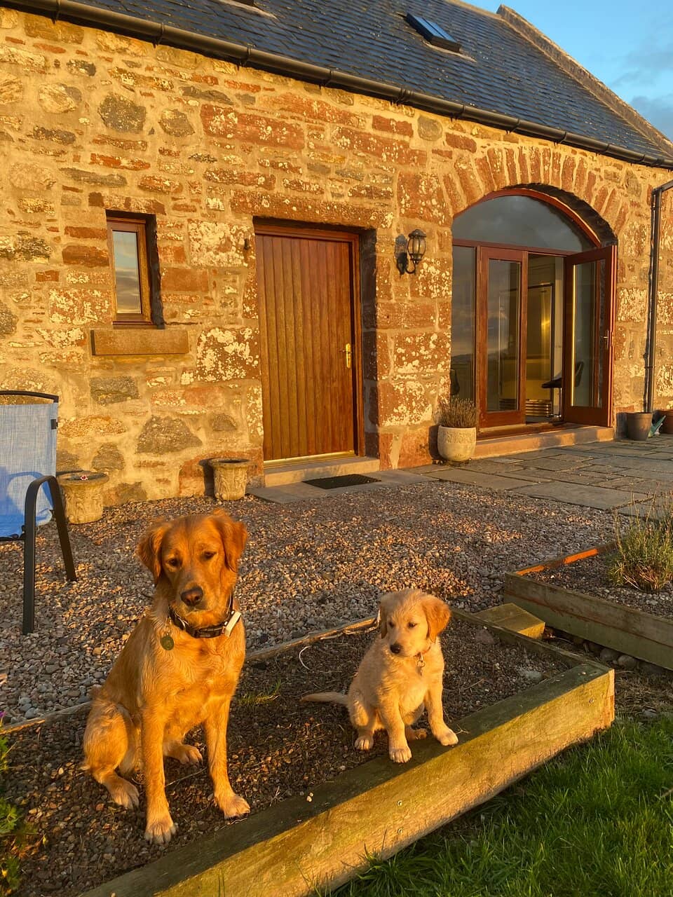 Balblair Wood Trails