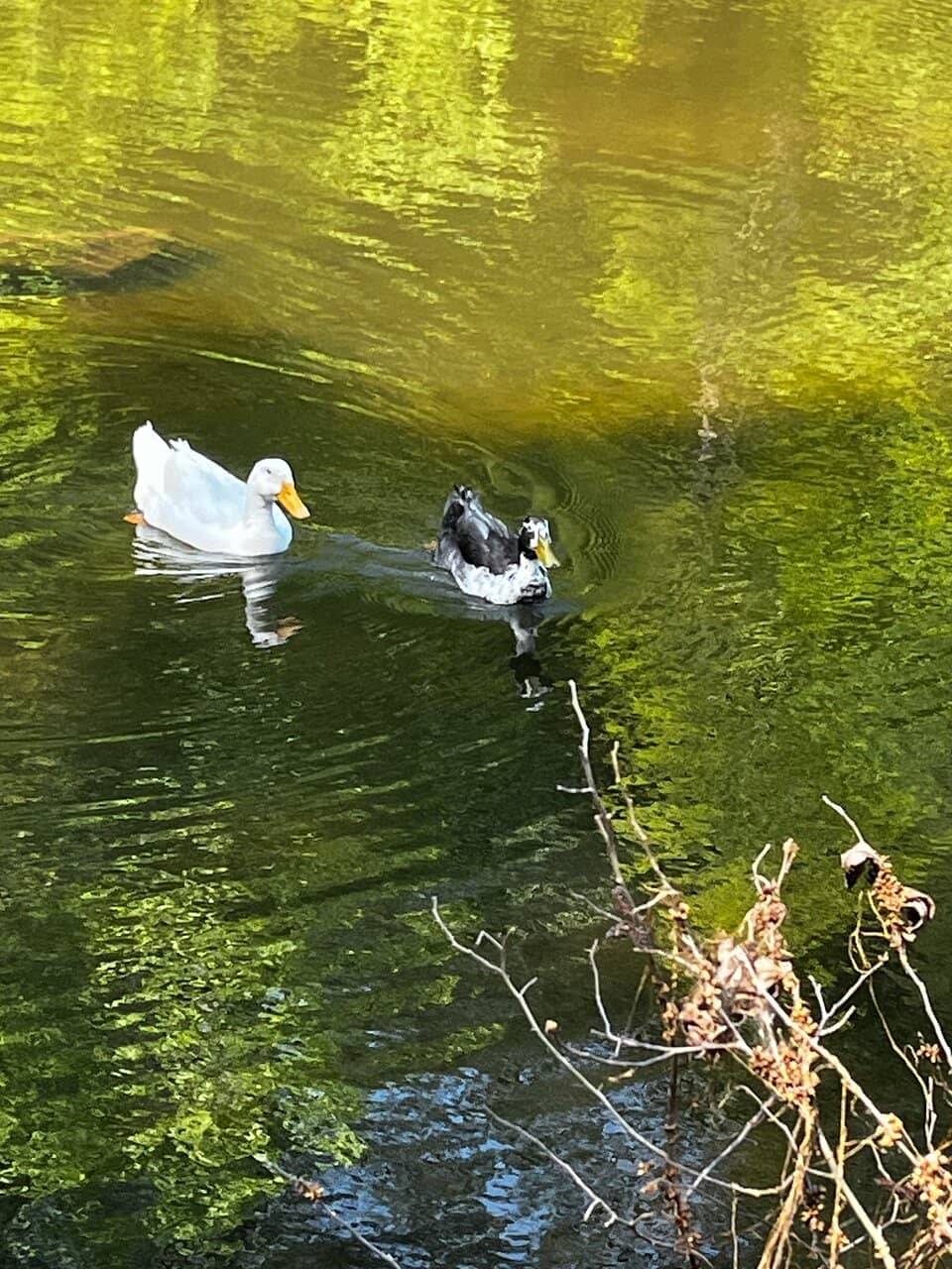 Extensive Hiking Trails