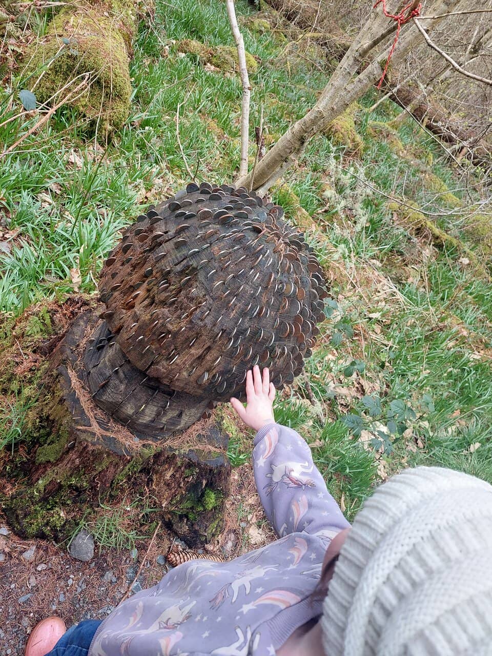 Wishing Trees