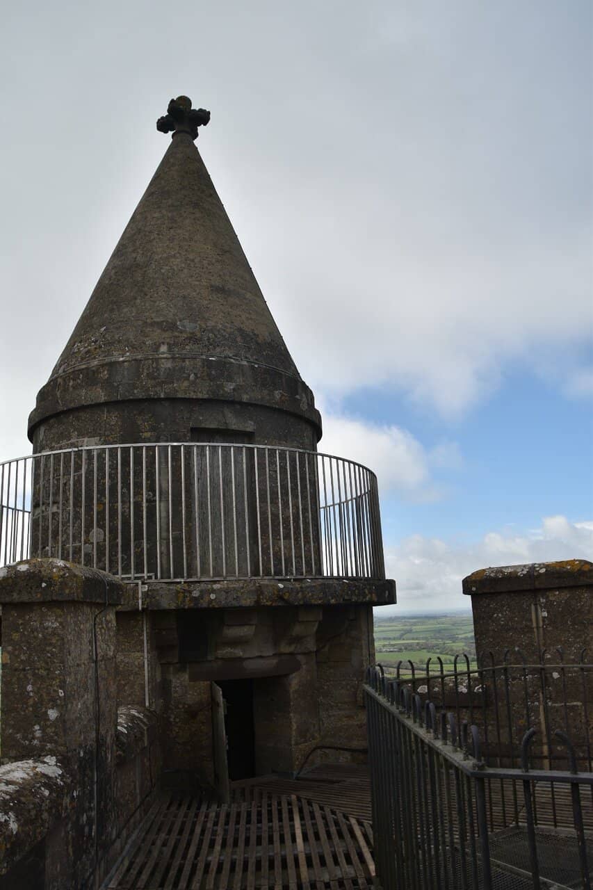 Woodland Trail Exploration