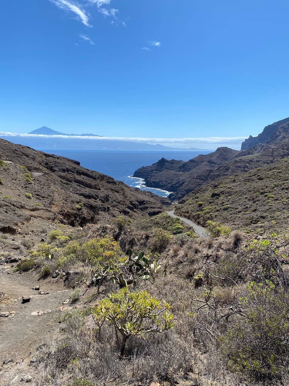 Tranquil Nudist Beach