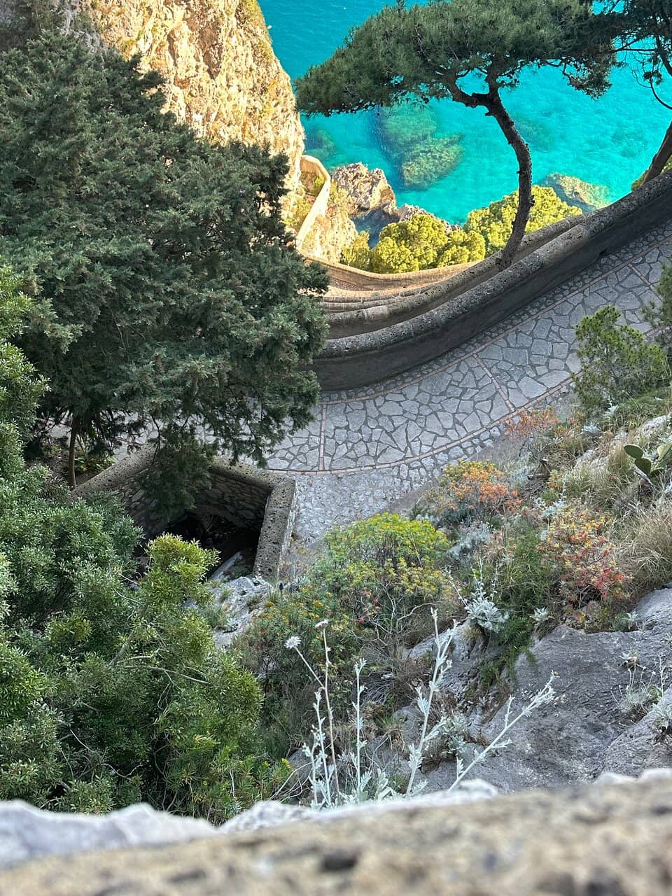 Vertical photo