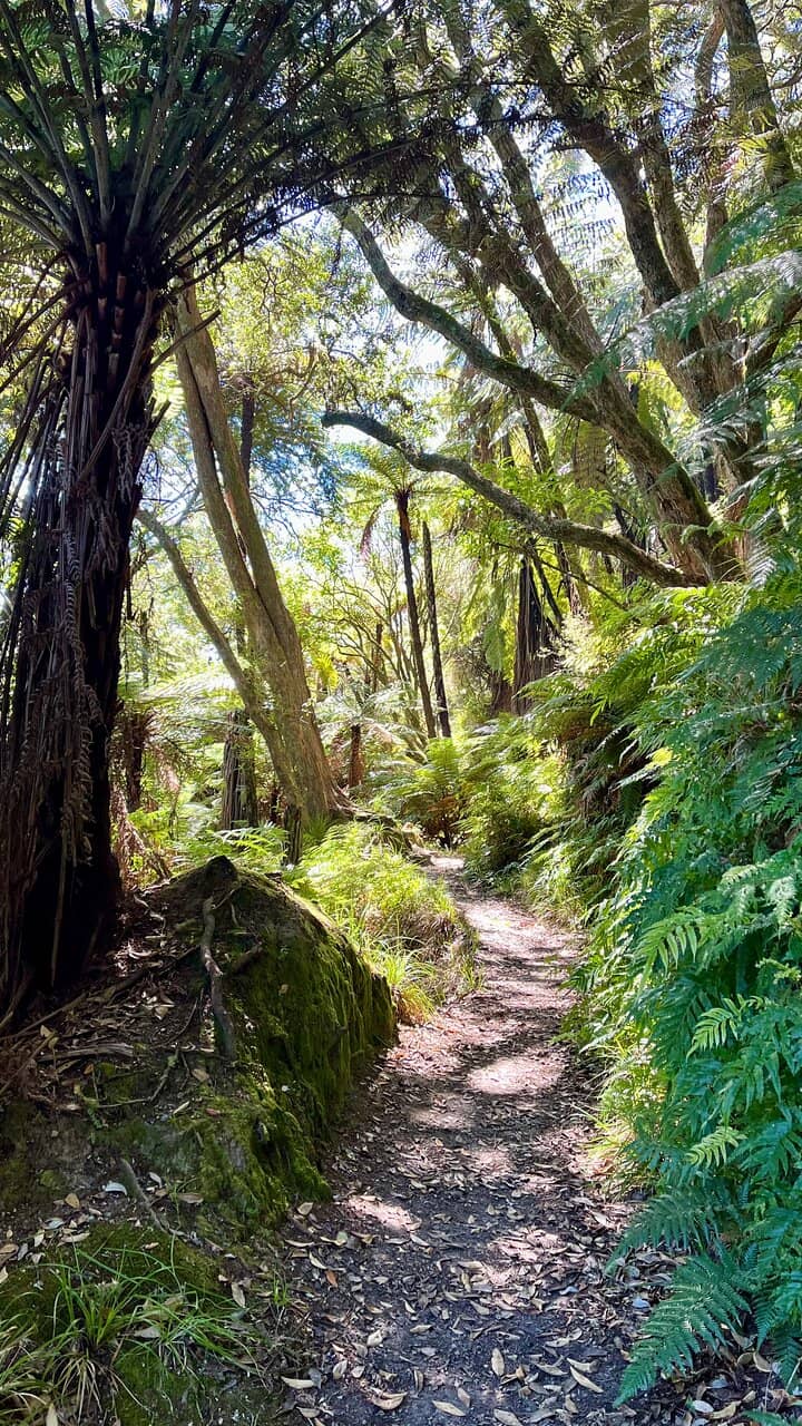 Native Bushland