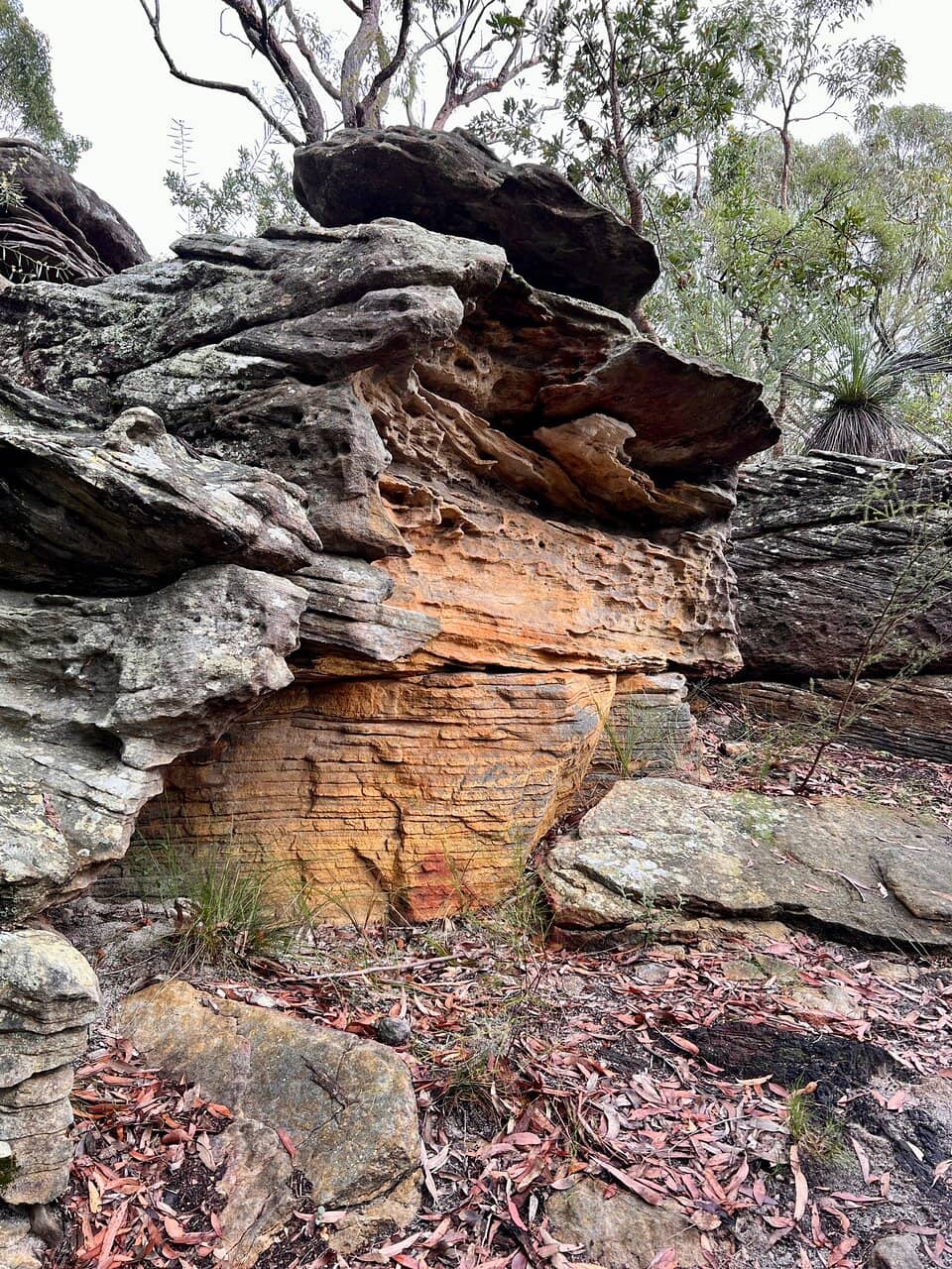 Crosslands Reserve