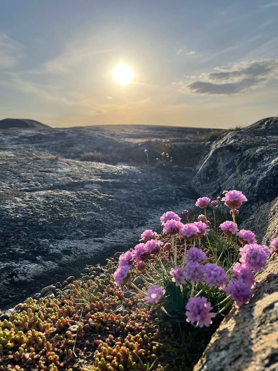 Barbecue and Picnic Spots