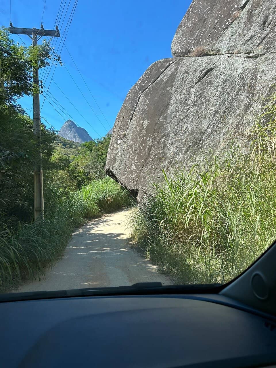 Exuberant Natural Landscape