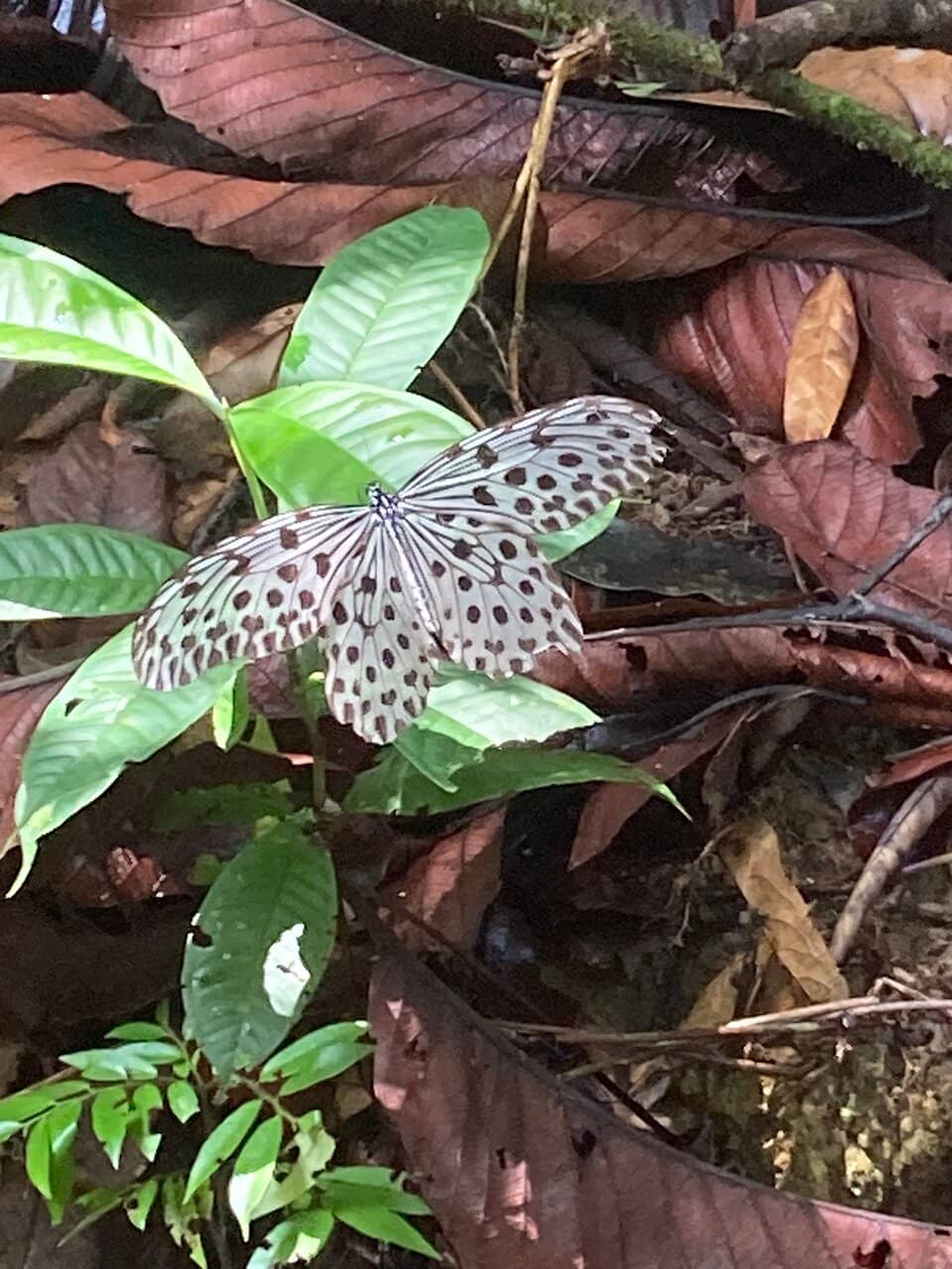 Picnic and Camping Spots