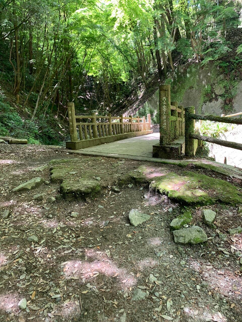 Hiking Trails