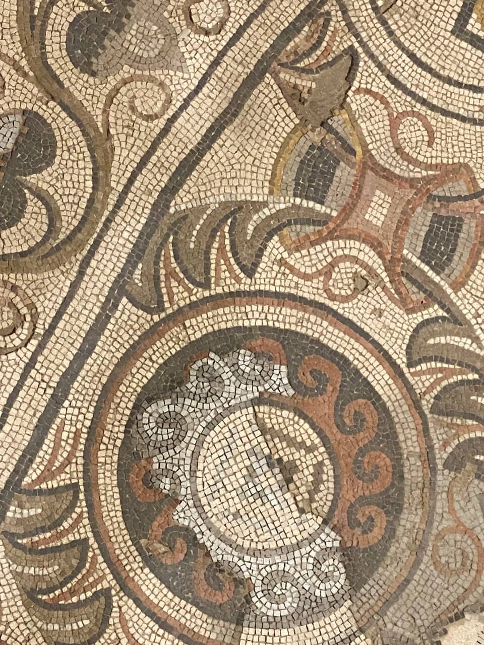 Tepidarium Reconstruction