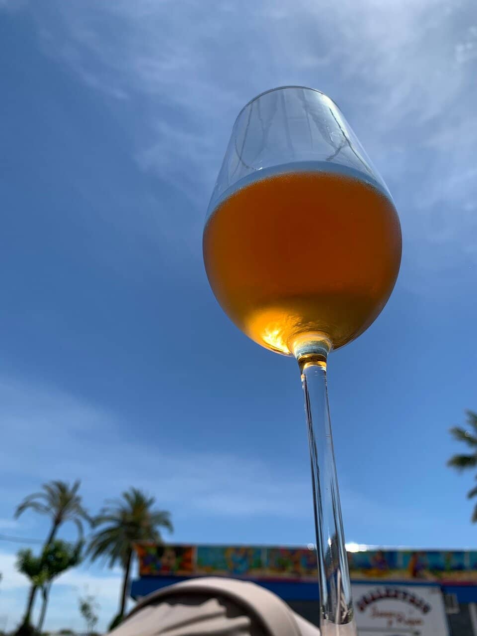 Generous Octopus Portions