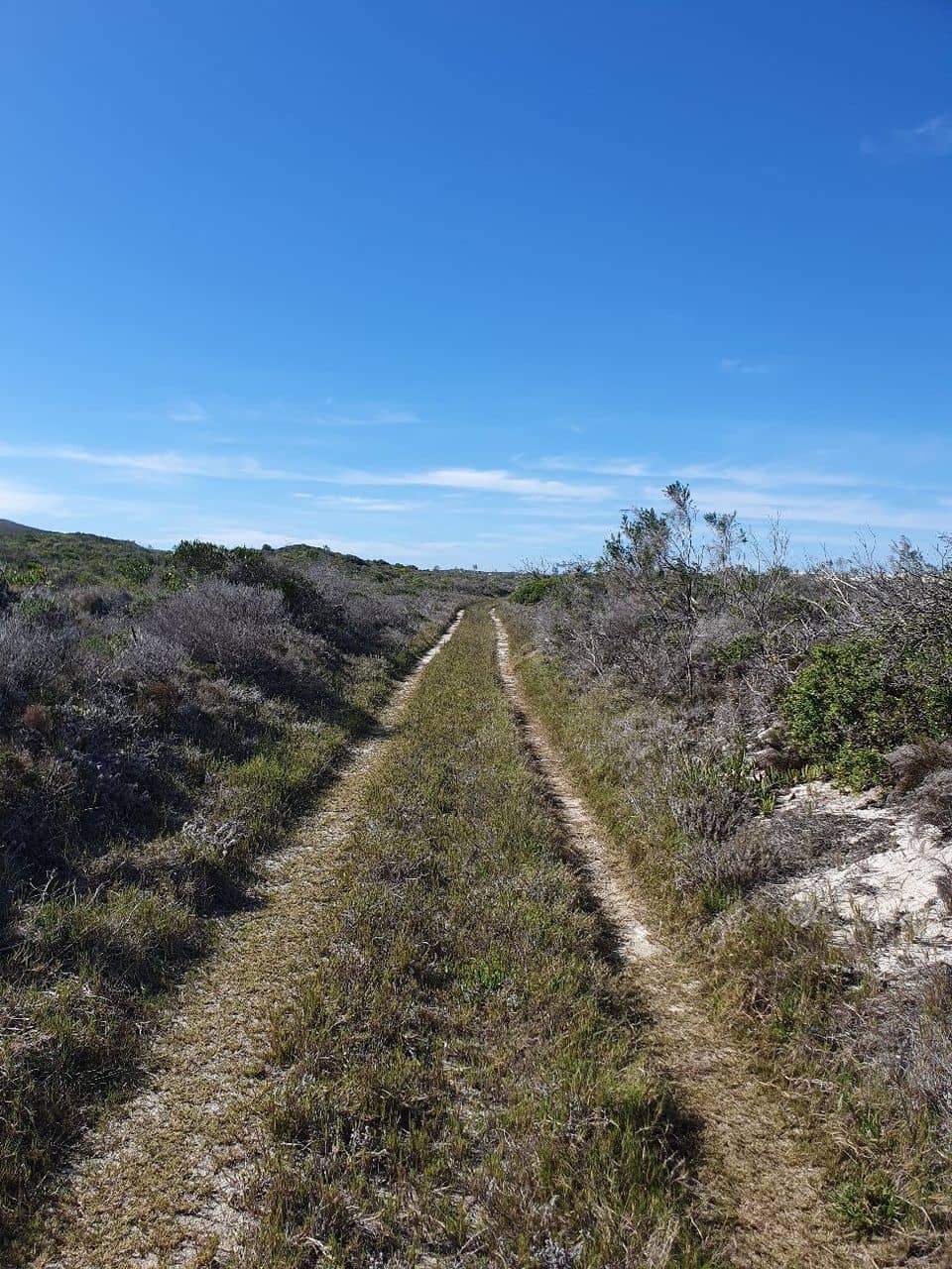 Lagoon Boardwalk