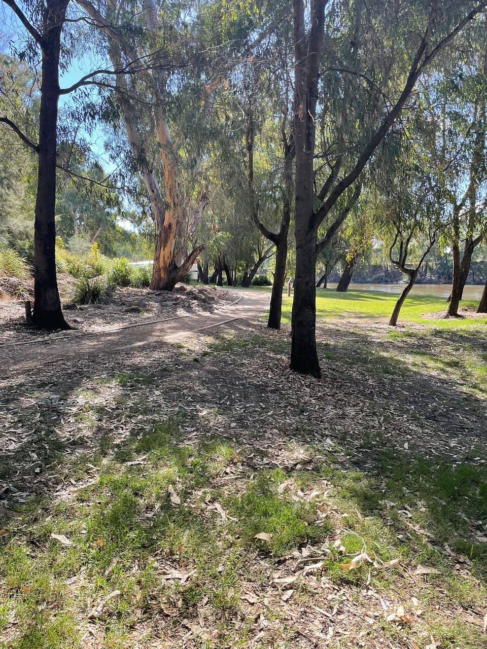 Wiradjuri Reserve