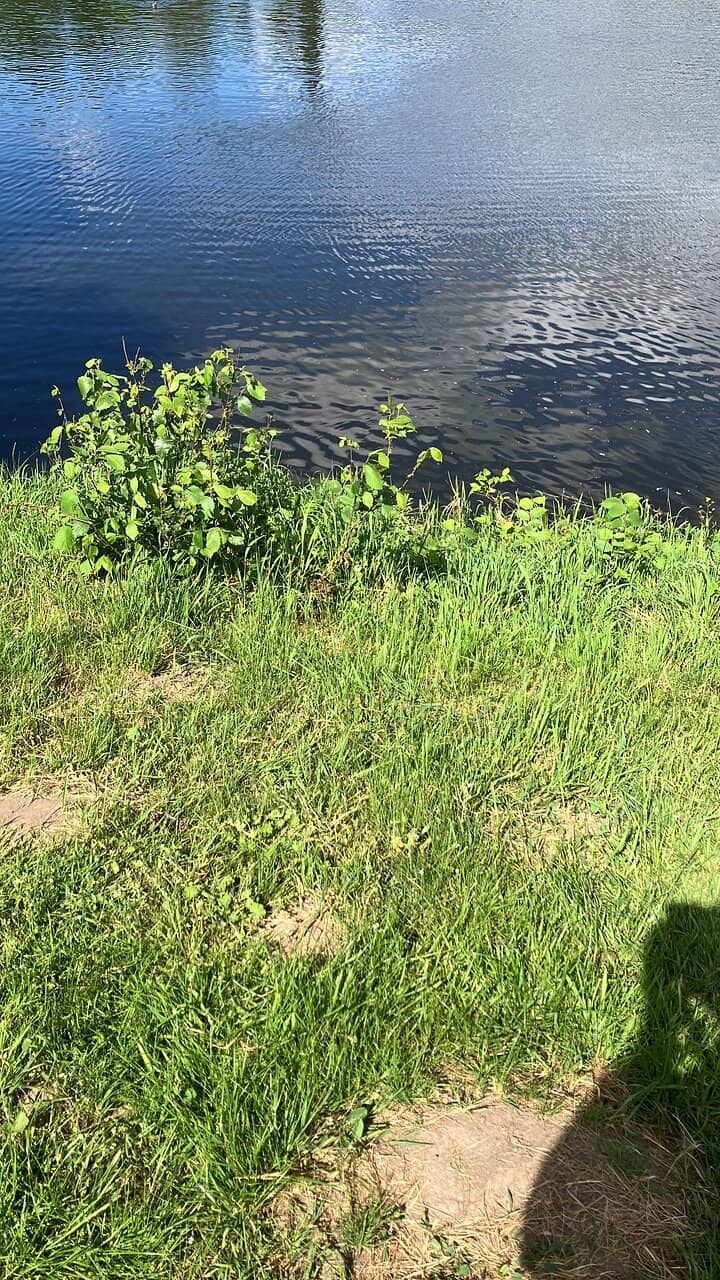 Picnic & BBQ Spots