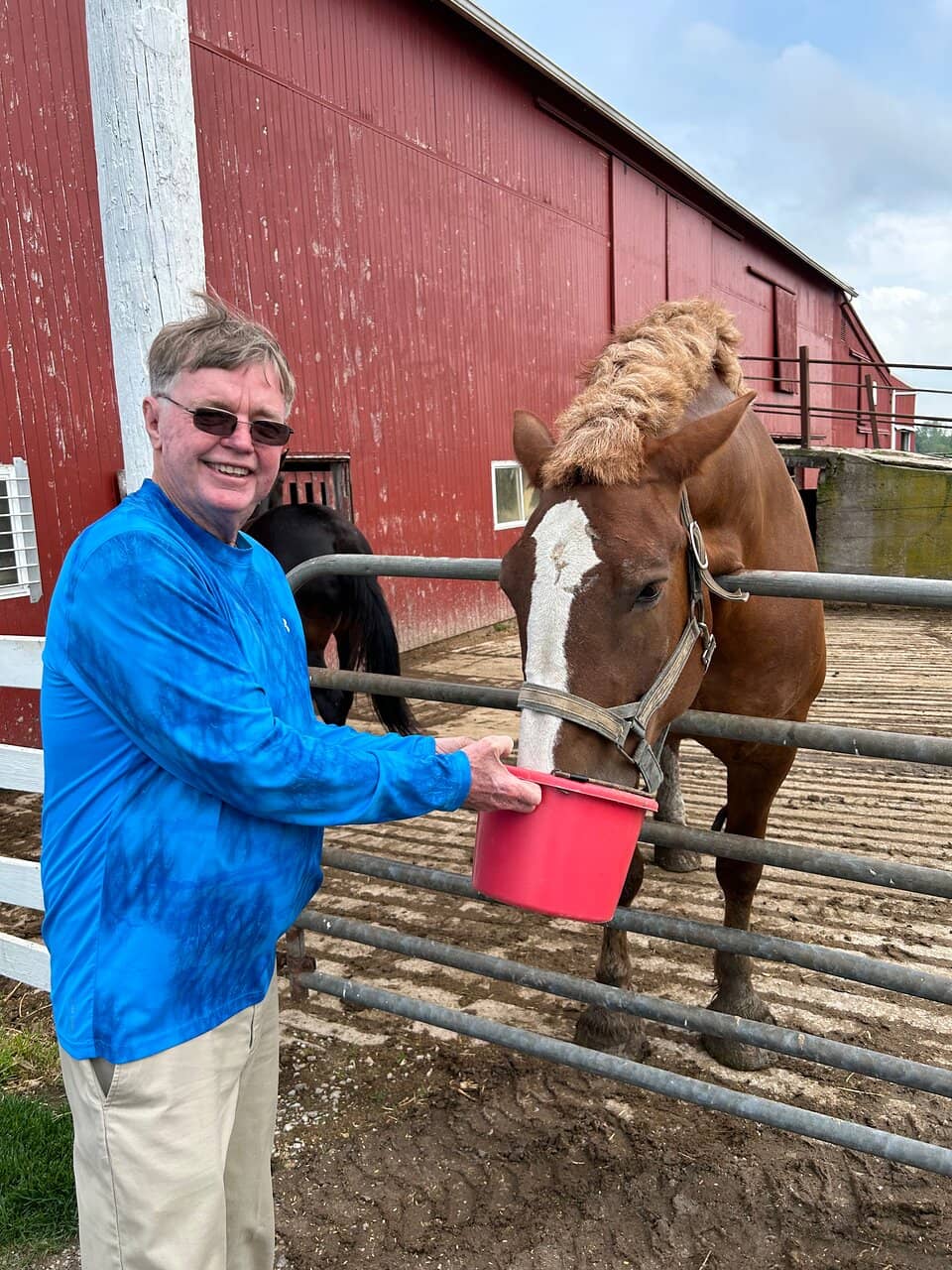 Working Dairy Farm Tour