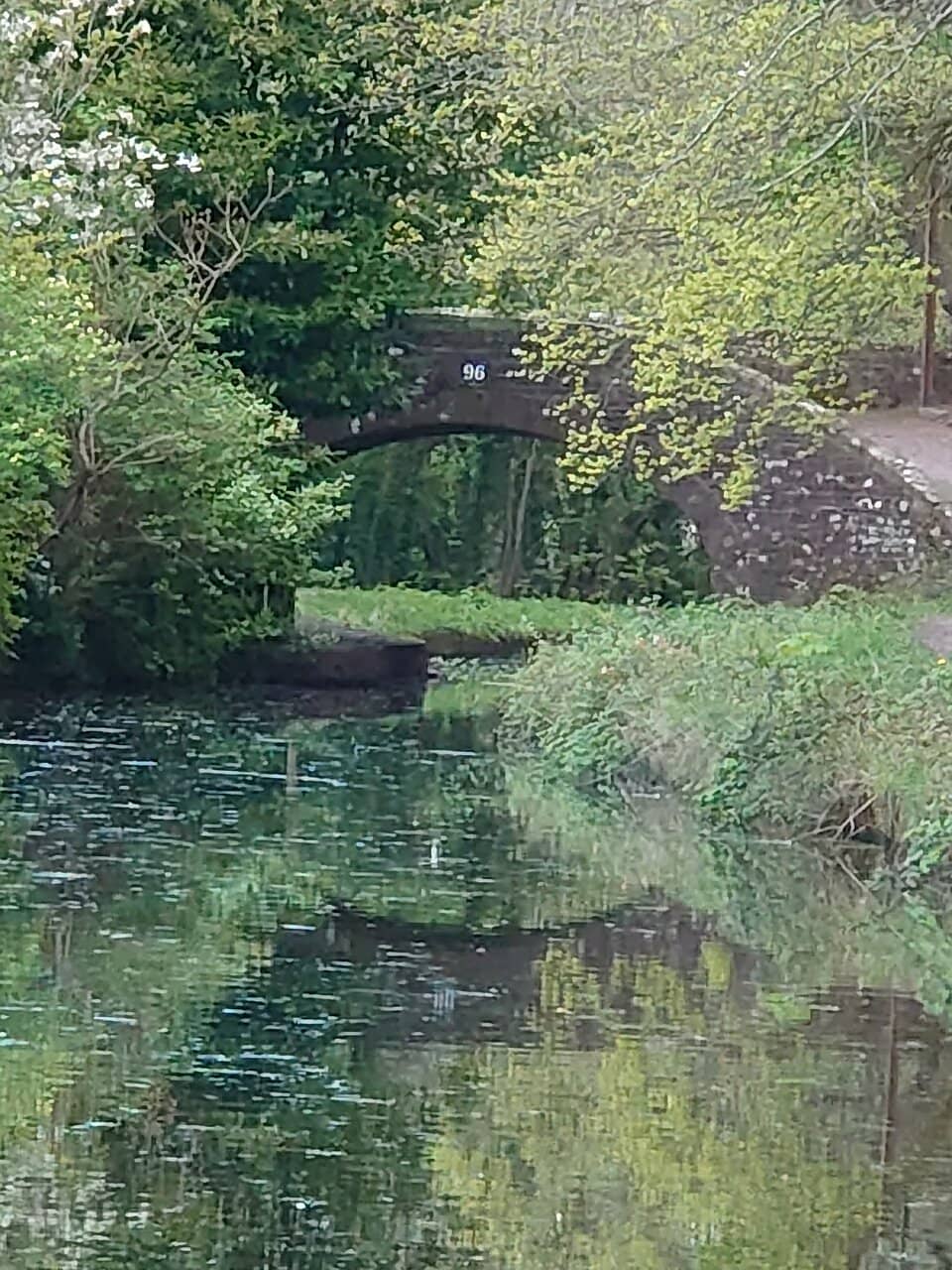 Wildlife Spotting