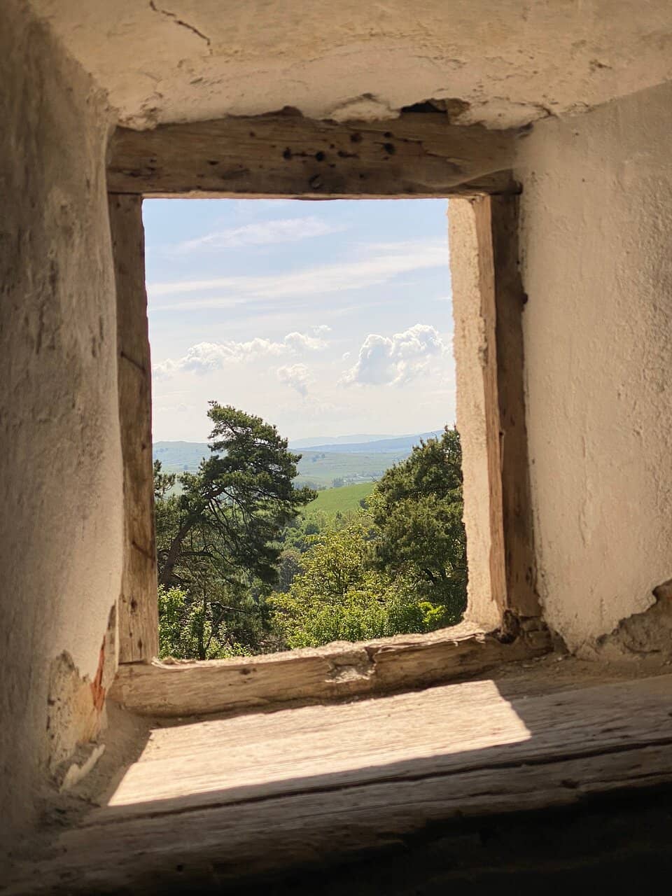 Vertical photo