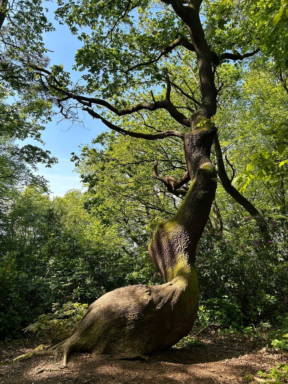 D-Day Landing Beaches