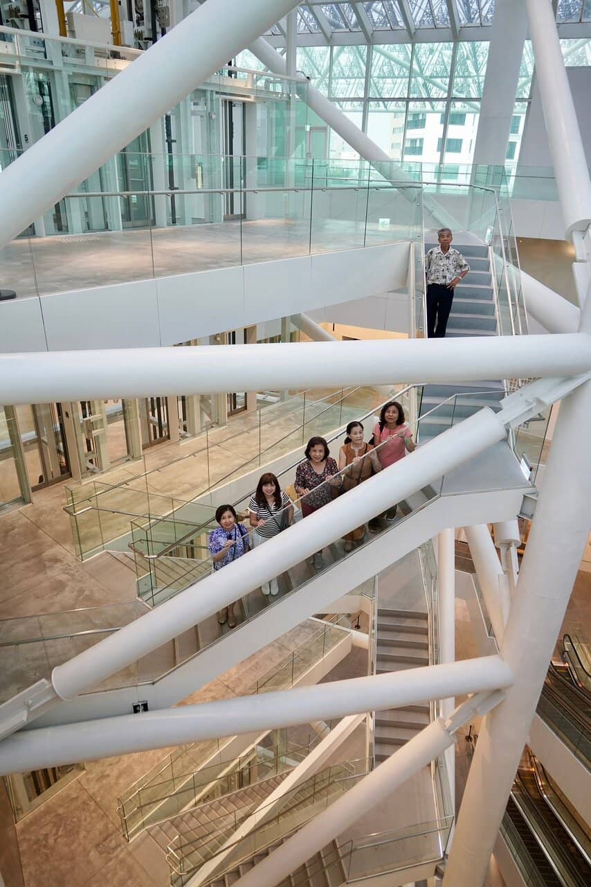 The Atrium's Banyan Tree