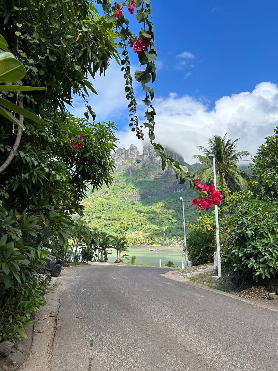 Panoramic Island Views