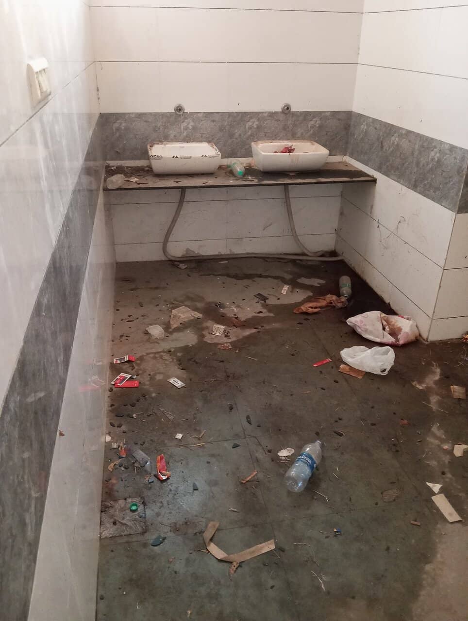 Birdwatching Opportunities