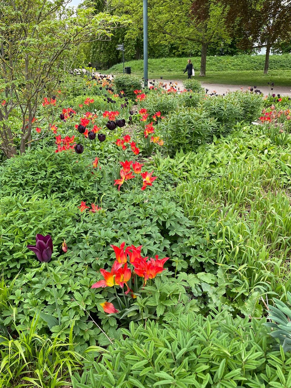 Floral Displays